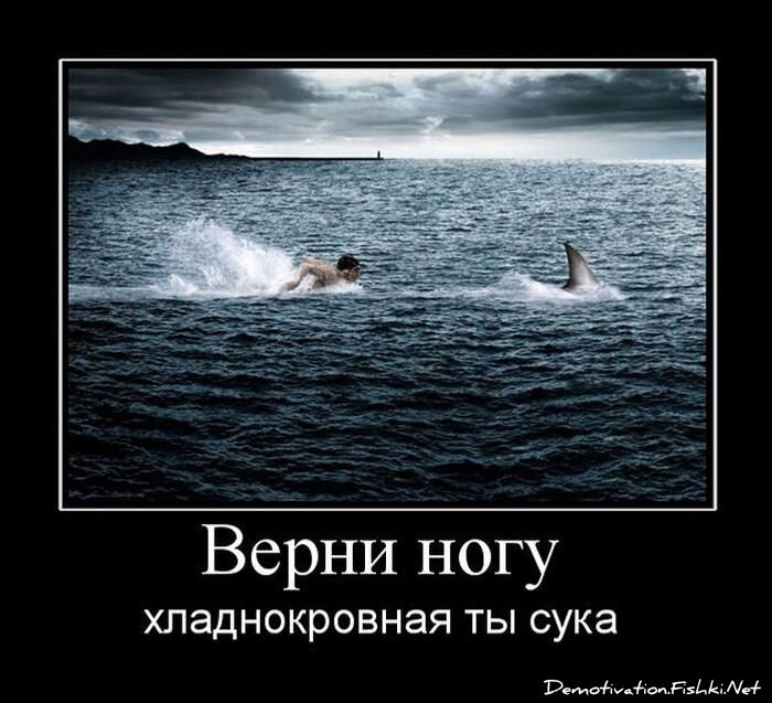 Смешной демотиватор от zubrilov за 03.06.2011 №78615