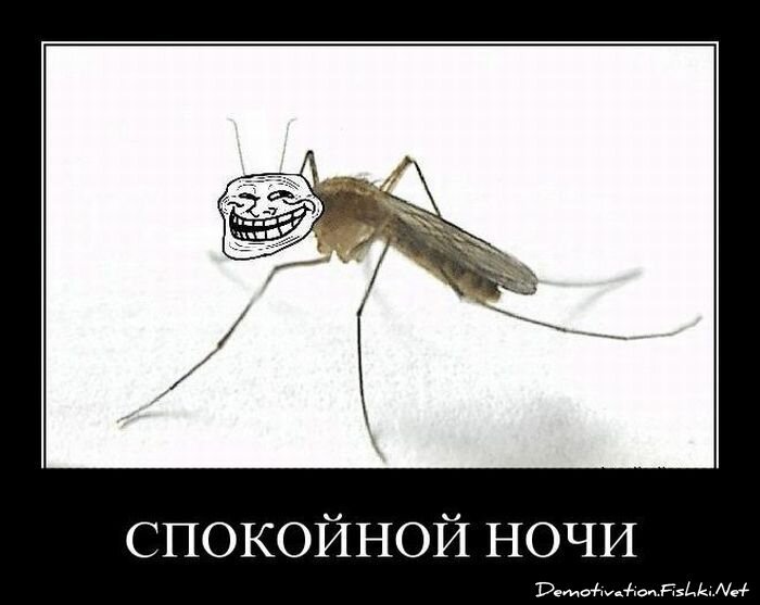 Смешной демотиватор от zubrilov за 03.06.2011 №78638
