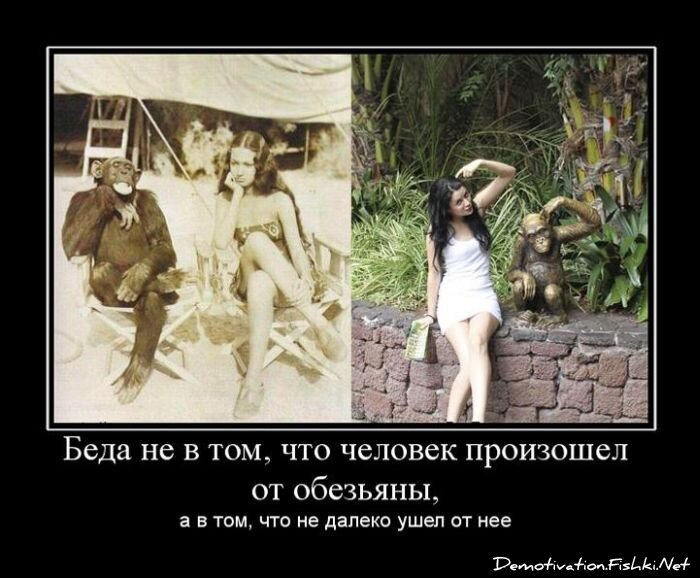 Смешной демотиватор от zubrilov за 03.06.2011 №78659