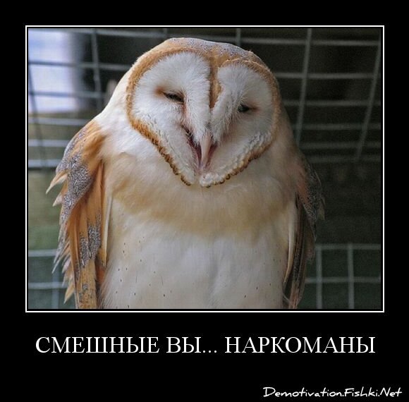 Смешные вы... Наркоманы