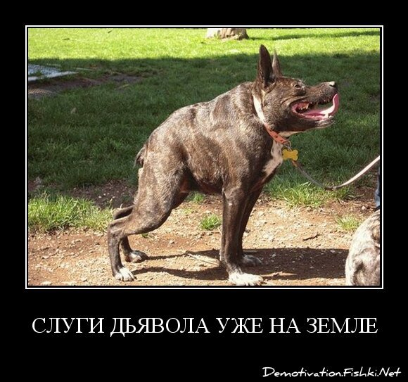 слуги дьявола уже на земле