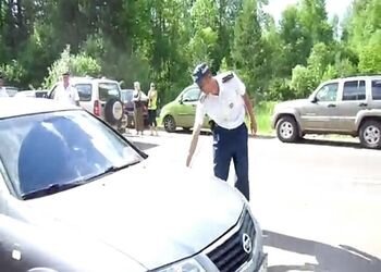 Подборка роликов