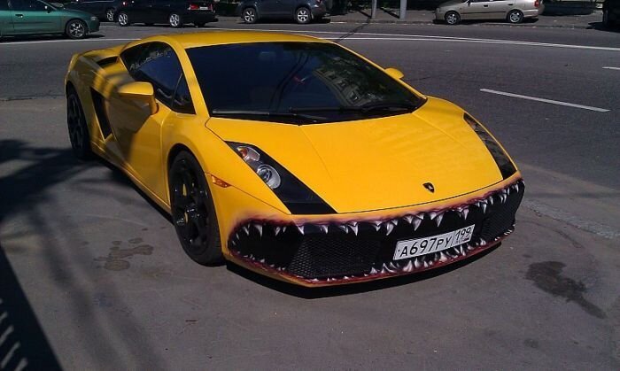 Прикольные фото и картинки от zubrilov за 20.06.2011 №79775