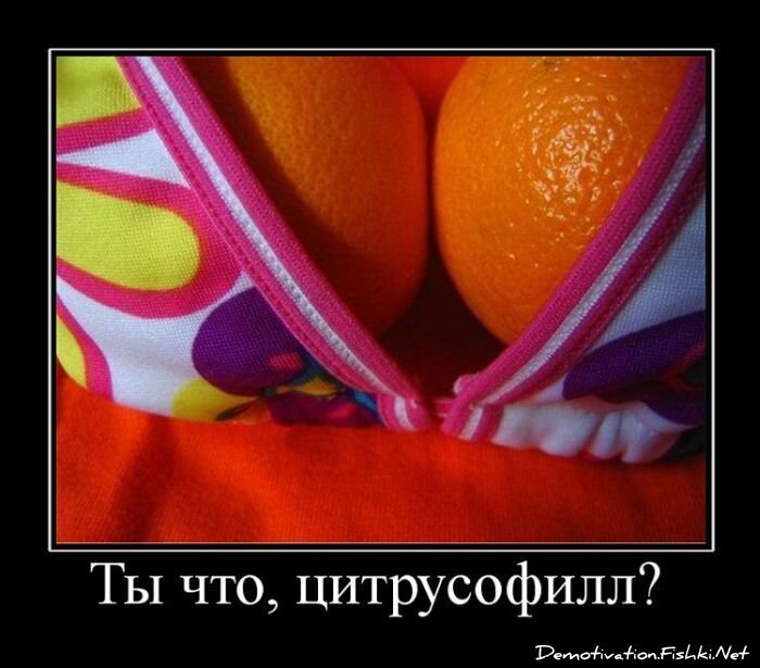 Смешной демотиватор от zubrilov за 22.06.2011 №80078