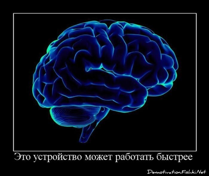 Смешной демотиватор от zubrilov за 24.06.2011 №80360