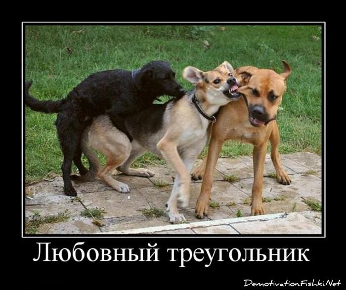 Смешной демотиватор от zubrilov за 24.06.2011 №80374