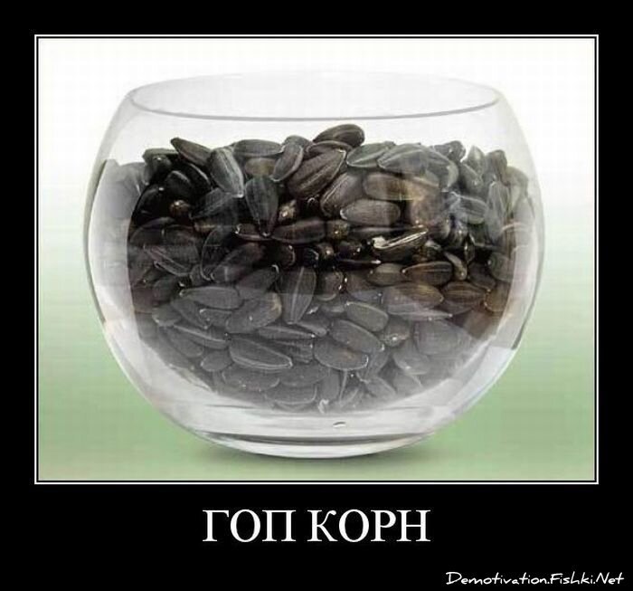 Смешной демотиватор от zubrilov за 24.06.2011 №80388