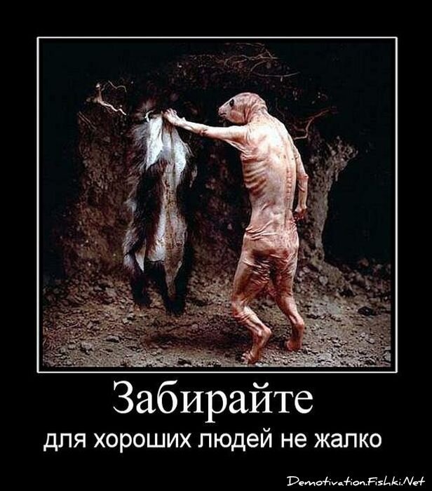 Смешной демотиватор от zubrilov за 24.06.2011 №80396