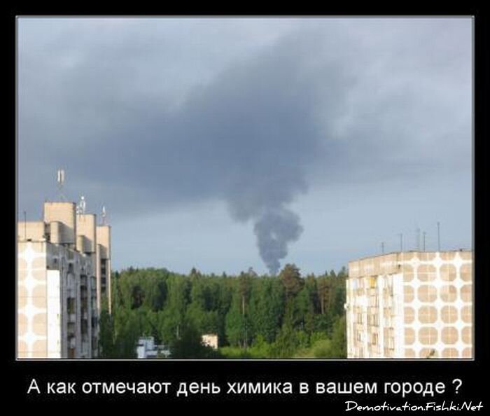 Смешной демотиватор от zubrilov за 24.06.2011 №80426