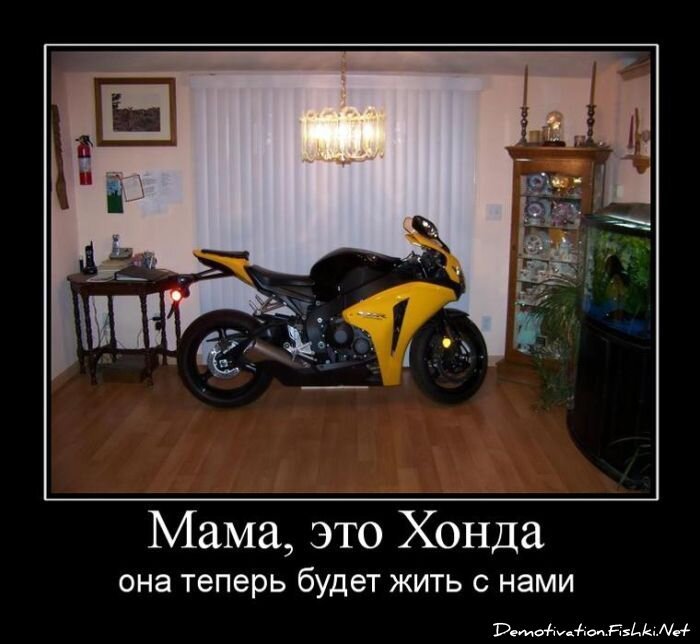 Смешной демотиватор от zubrilov за 29.06.2011 №80759