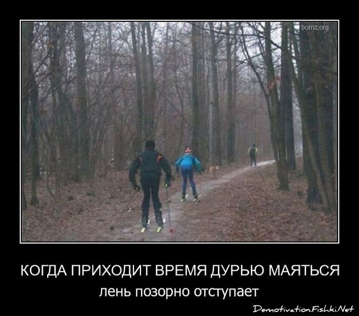 Смешной демотиватор от zubrilov за 29.06.2011 №80764