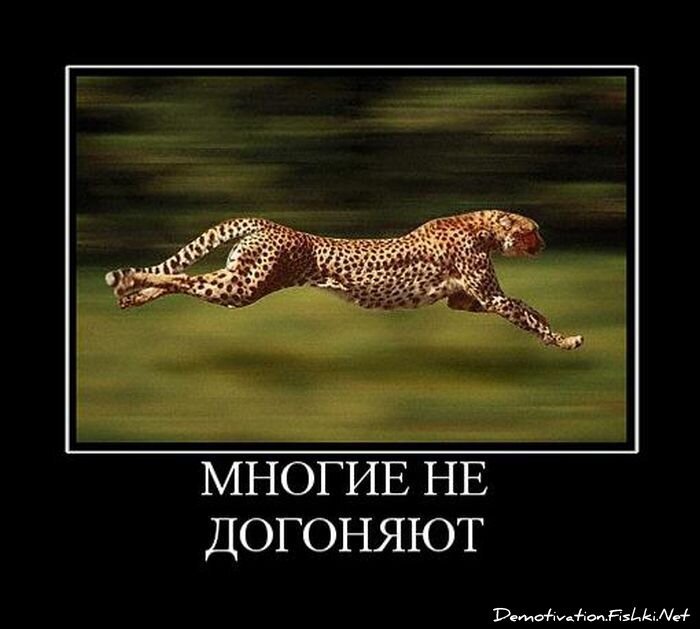 Демотиватор