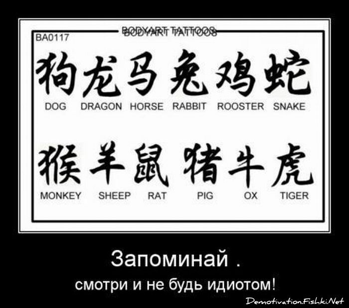 Смешной демотиватор от zubrilov за 29.06.2011 №80776