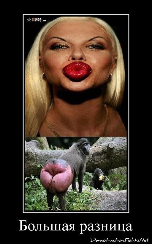 Демотиватор