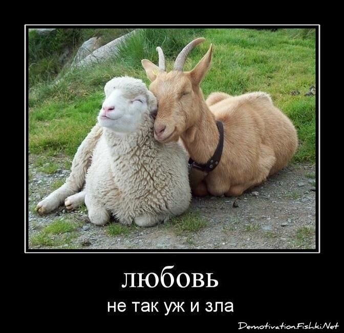 Смешной демотиватор от zubrilov за 29.06.2011 №80799