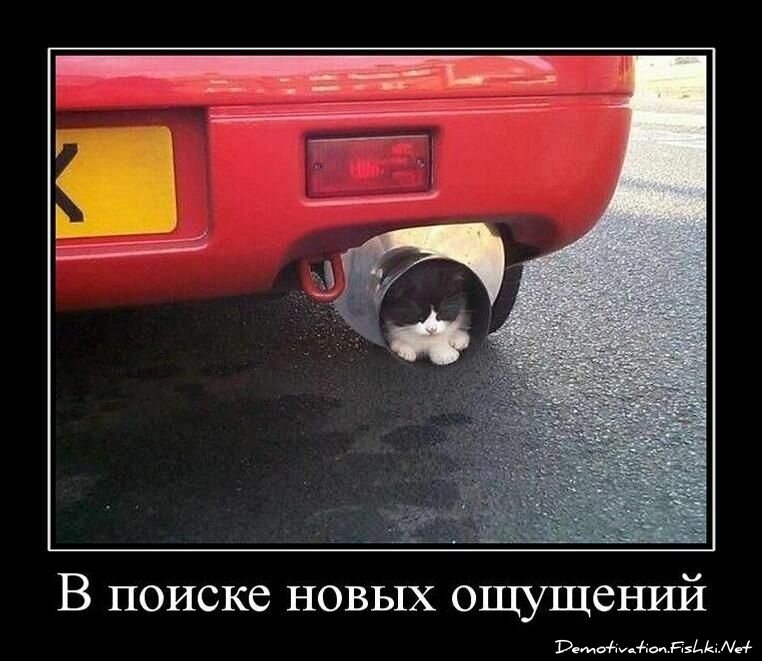 Демотиватор