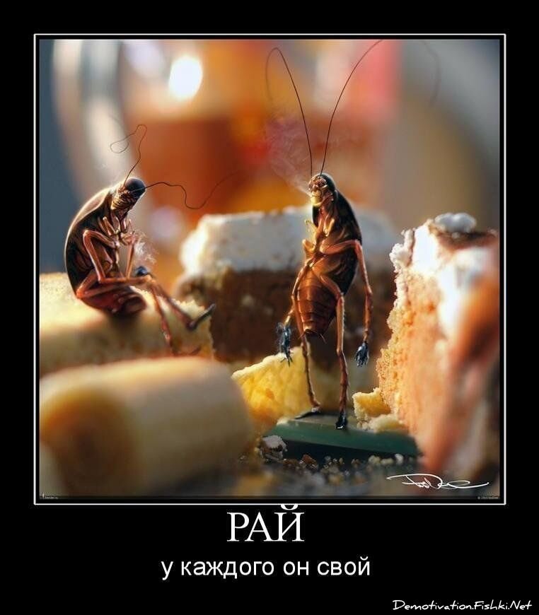 Смешной демотиватор от zubrilov за 29.06.2011 №80802