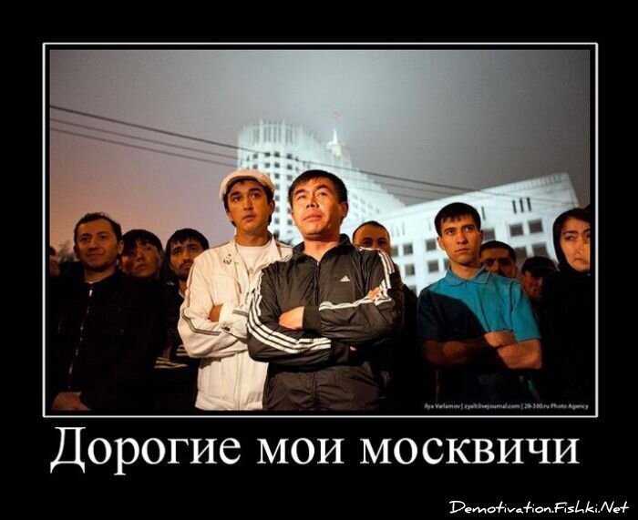 Смешной демотиватор от zubrilov за 01.07.2011 №81029