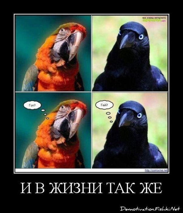 Смешной демотиватор от zubrilov за 01.07.2011 №81034