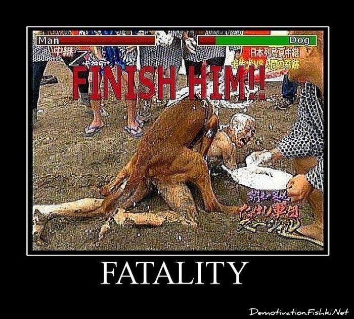 Смешной демотиватор от zubrilov за 01.07.2011 №81036