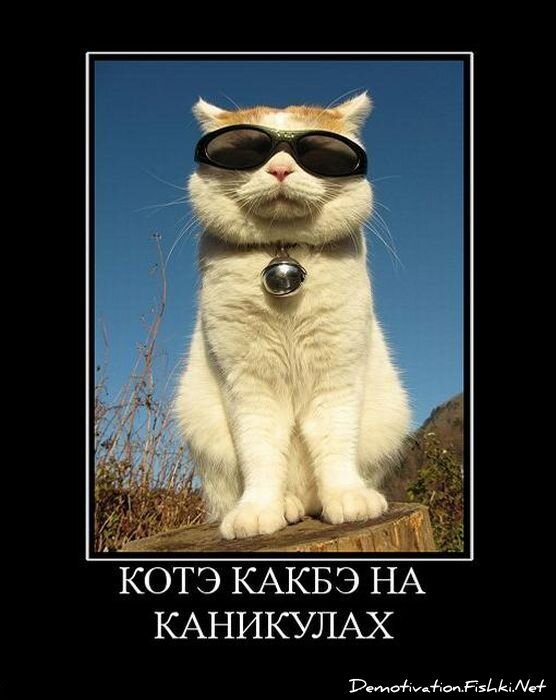 Смешной демотиватор от zubrilov за 01.07.2011 №81051