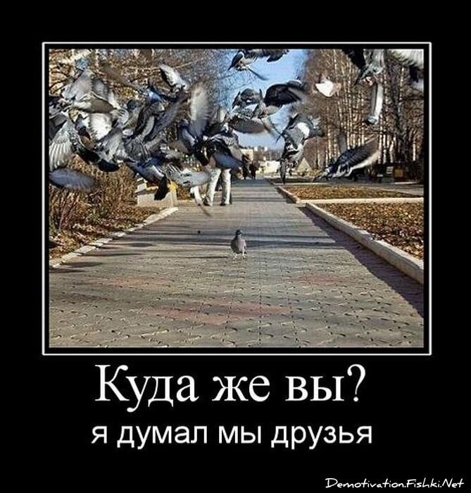 Смешной демотиватор от zubrilov за 01.07.2011 №81056