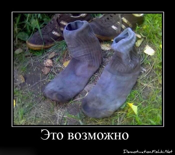 Смешной демотиватор от zubrilov за 06.07.2011 №81347