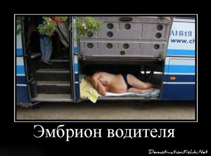 Смешной демотиватор от zubrilov за 06.07.2011 №81349