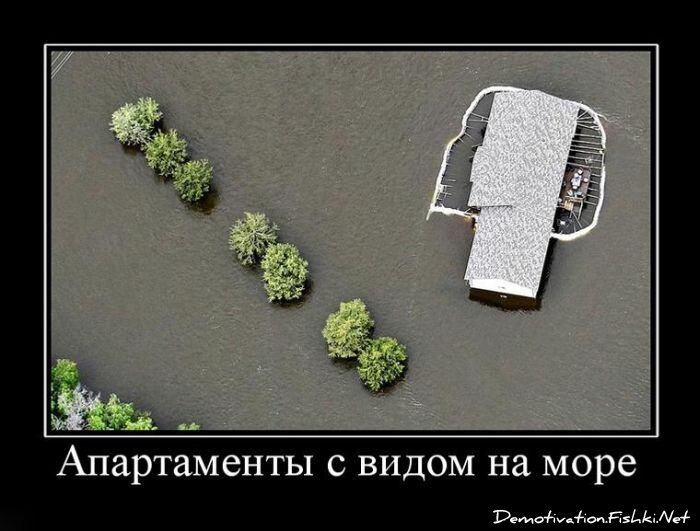 Смешной демотиватор от zubrilov за 06.07.2011 №81357