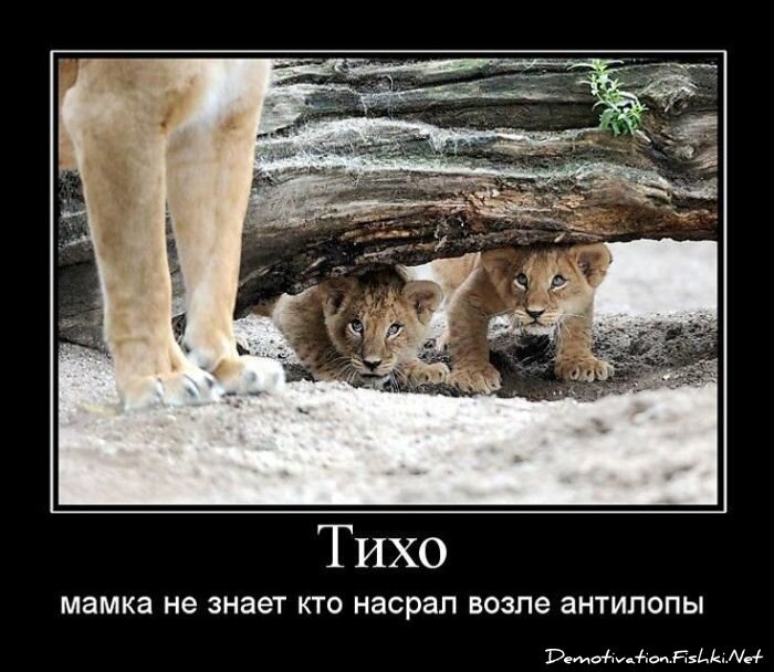 Смешной демотиватор от zubrilov за 06.07.2011 №81359