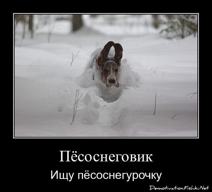 Смешной демотиватор от zubrilov за 08.07.2011 №81620