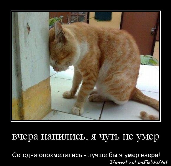 вчера напились, я чуть не умер