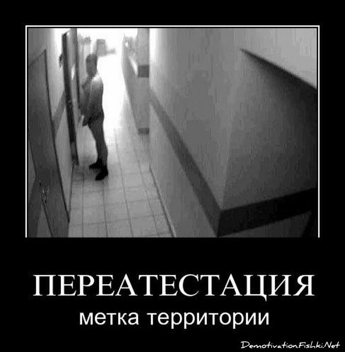 Смешной демотиватор от zubrilov за 20.07.2011 №82692