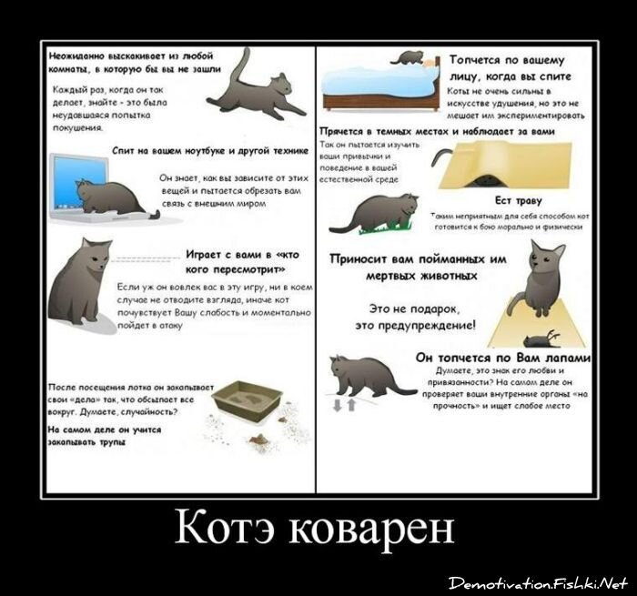 Смешной демотиватор от zubrilov за 20.07.2011 №82709