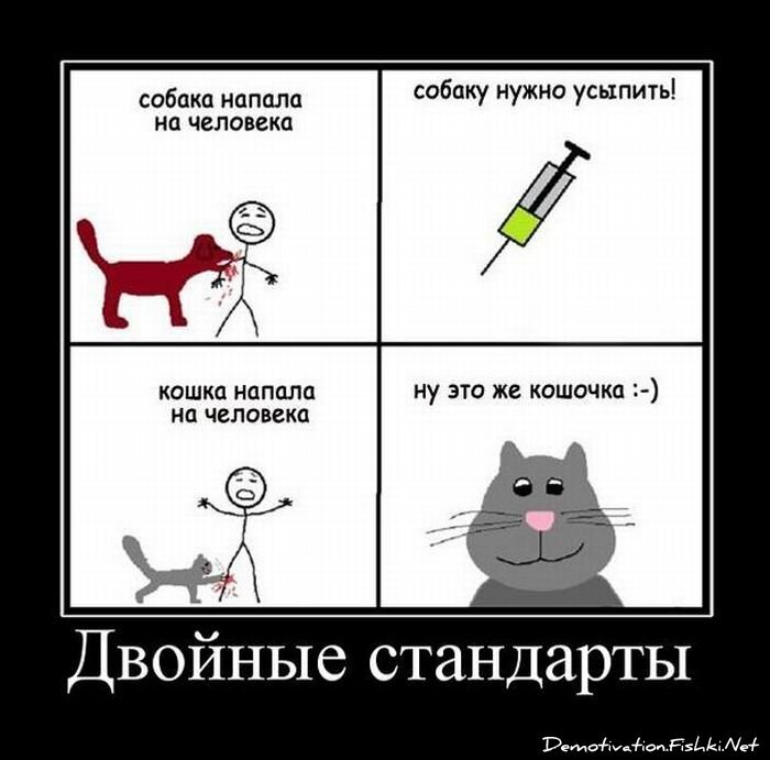 Смешной демотиватор от zubrilov за 20.07.2011 №82710