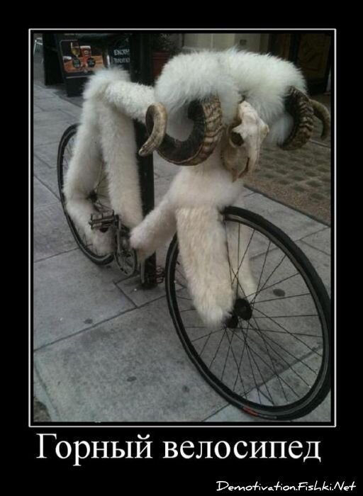 Смешной демотиватор от zubrilov за 20.07.2011 №82721