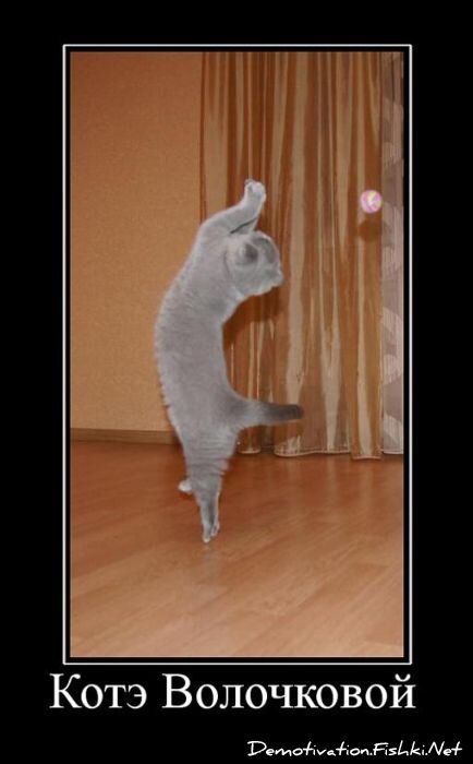 Смешной демотиватор от zubrilov за 22.07.2011 №83072
