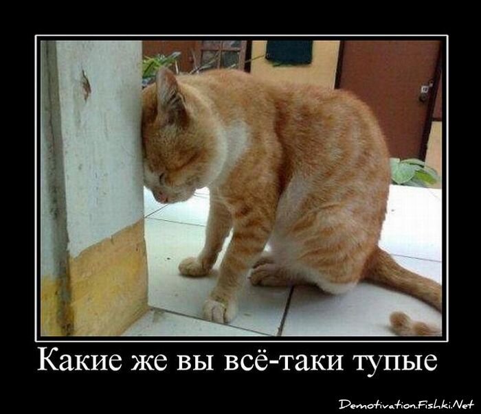 Смешной демотиватор от zubrilov за 22.07.2011 №83081