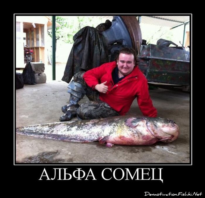 Смешной демотиватор от zubrilov за 22.07.2011 №83083