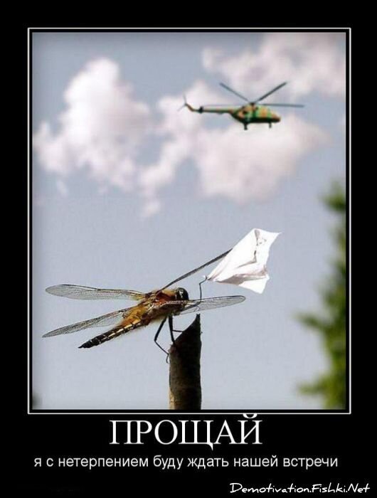 Смешной демотиватор от zubrilov за 22.07.2011 №83085