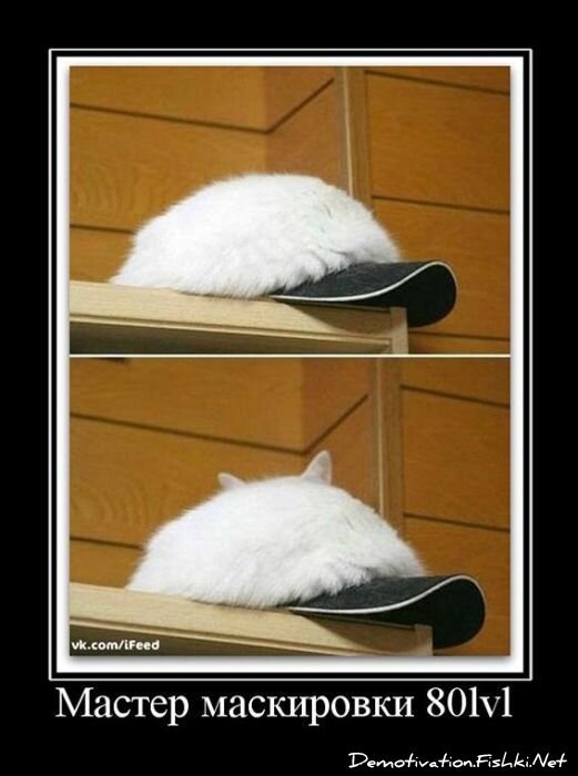 Смешной демотиватор от zubrilov за 22.07.2011 №83095