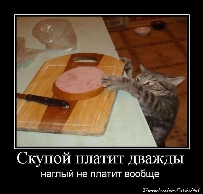 Смешной демотиватор от zubrilov за 22.07.2011 №83096