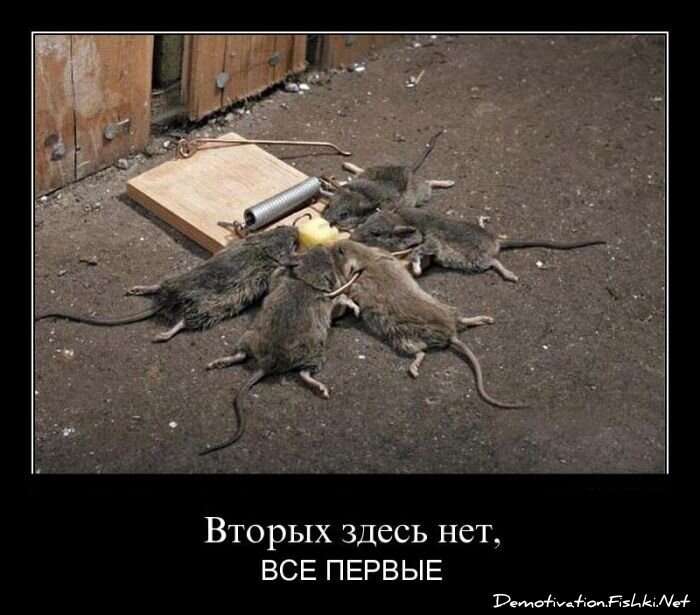 Смешной демотиватор от zubrilov за 22.07.2011 №83100