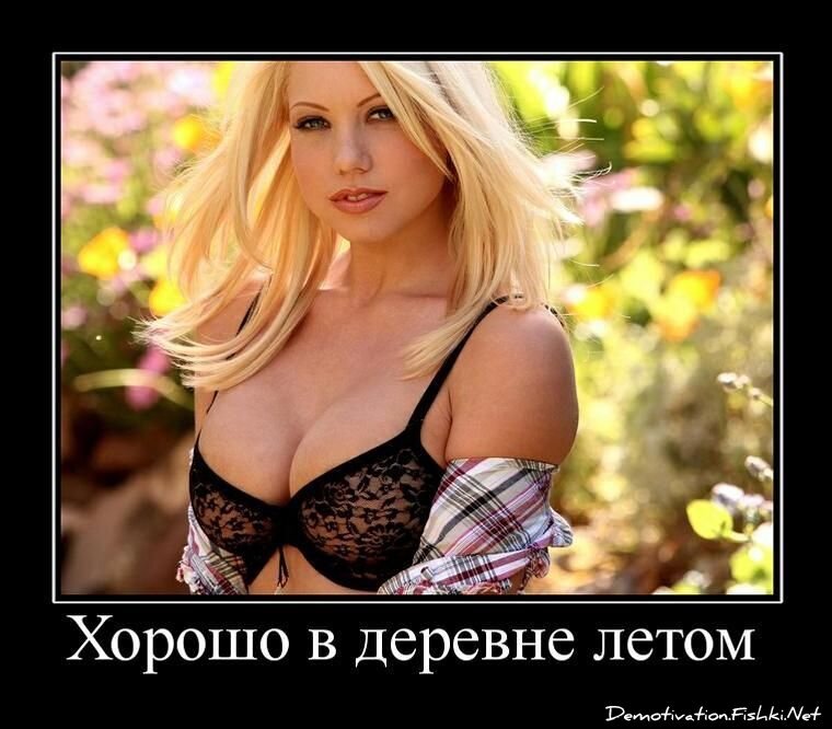 Демотиватор