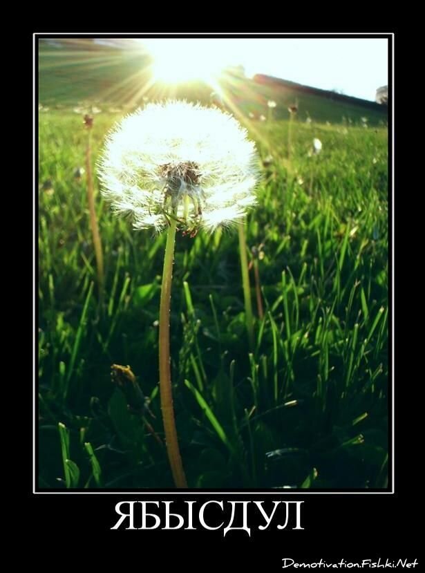 Смешной демотиватор от zubrilov за 22.07.2011 №83108