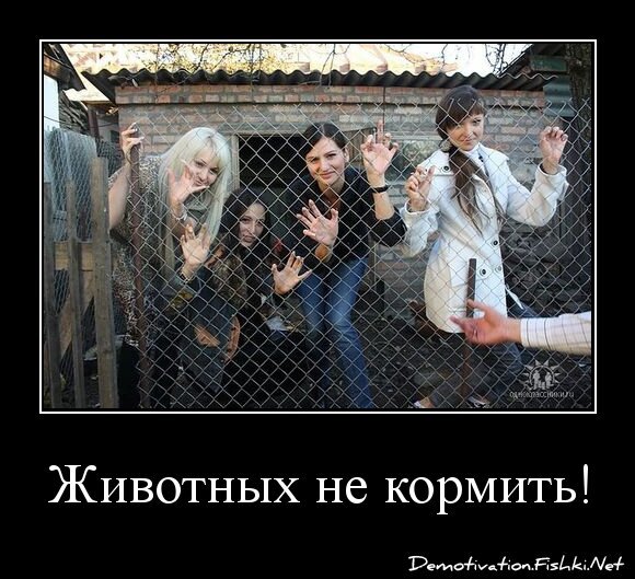 Животных не кормить!