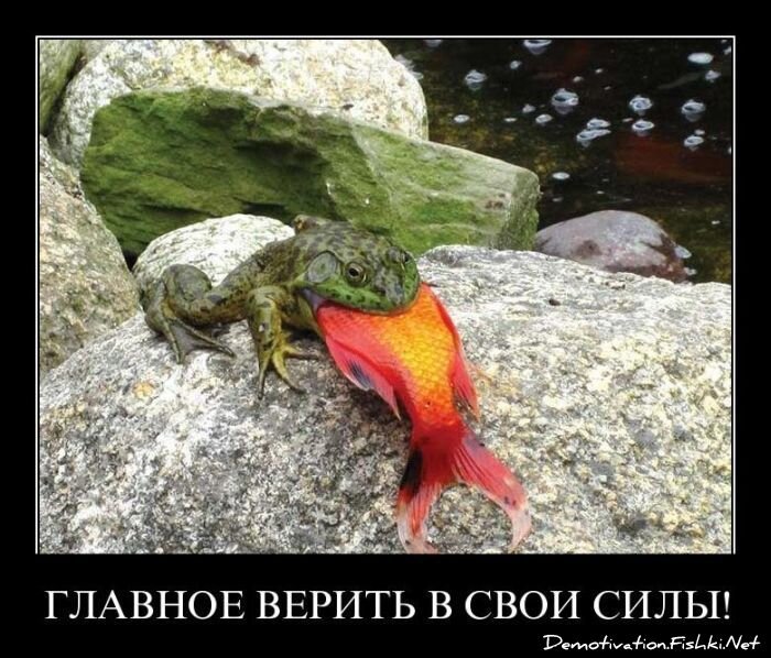 Смешной демотиватор от zubrilov за 27.07.2011 №83501