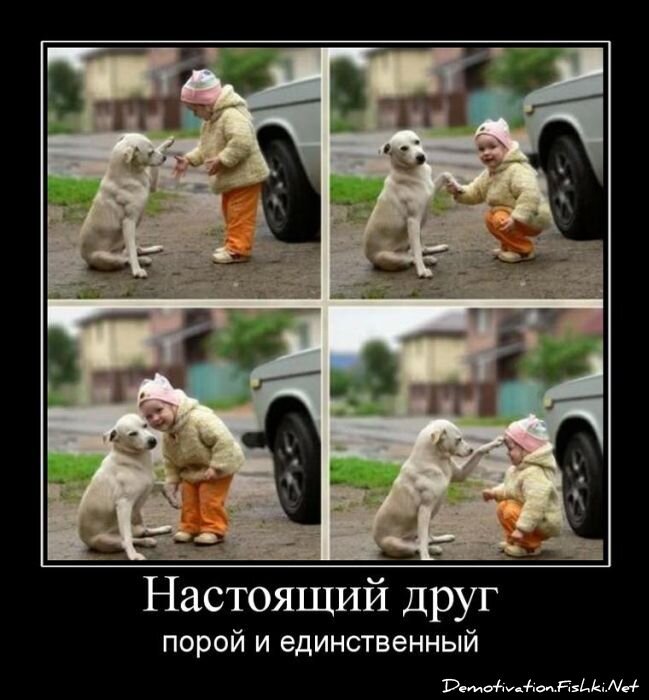 Смешной демотиватор от zubrilov за 27.07.2011 №83505