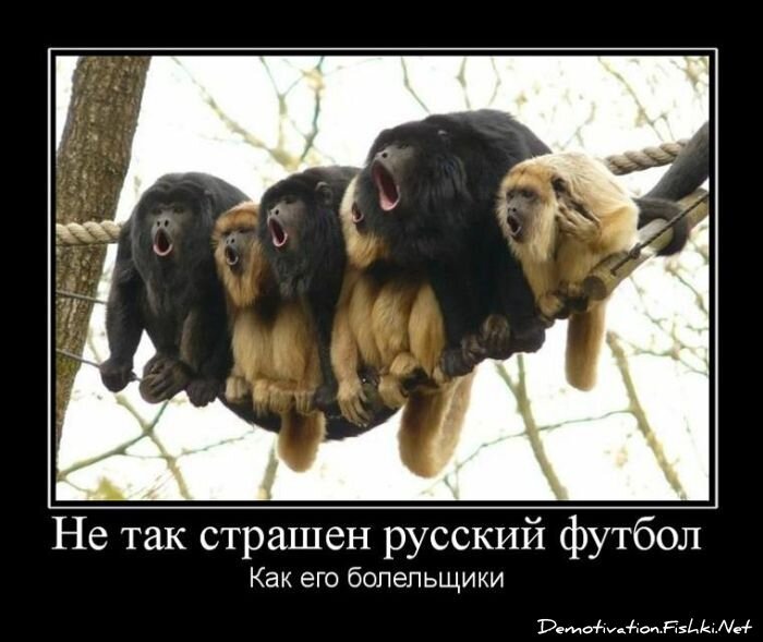 Смешной демотиватор от zubrilov за 27.07.2011 №83506