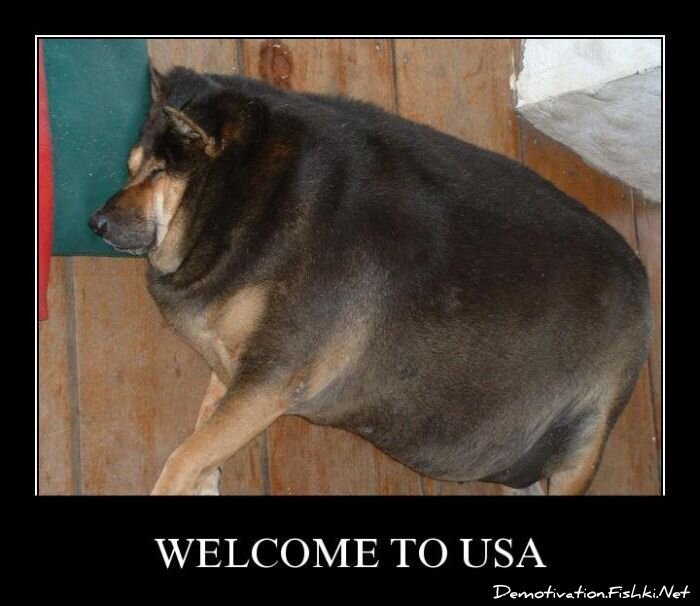 Смешной демотиватор от zubrilov за 29.07.2011 №83777